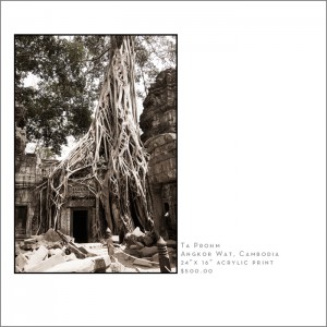 ta prohm Ankor Wat U.S. Travel Photographer