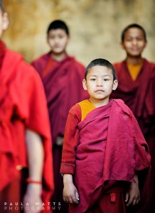 young boy Tibet buddhist monk Dharamsala India